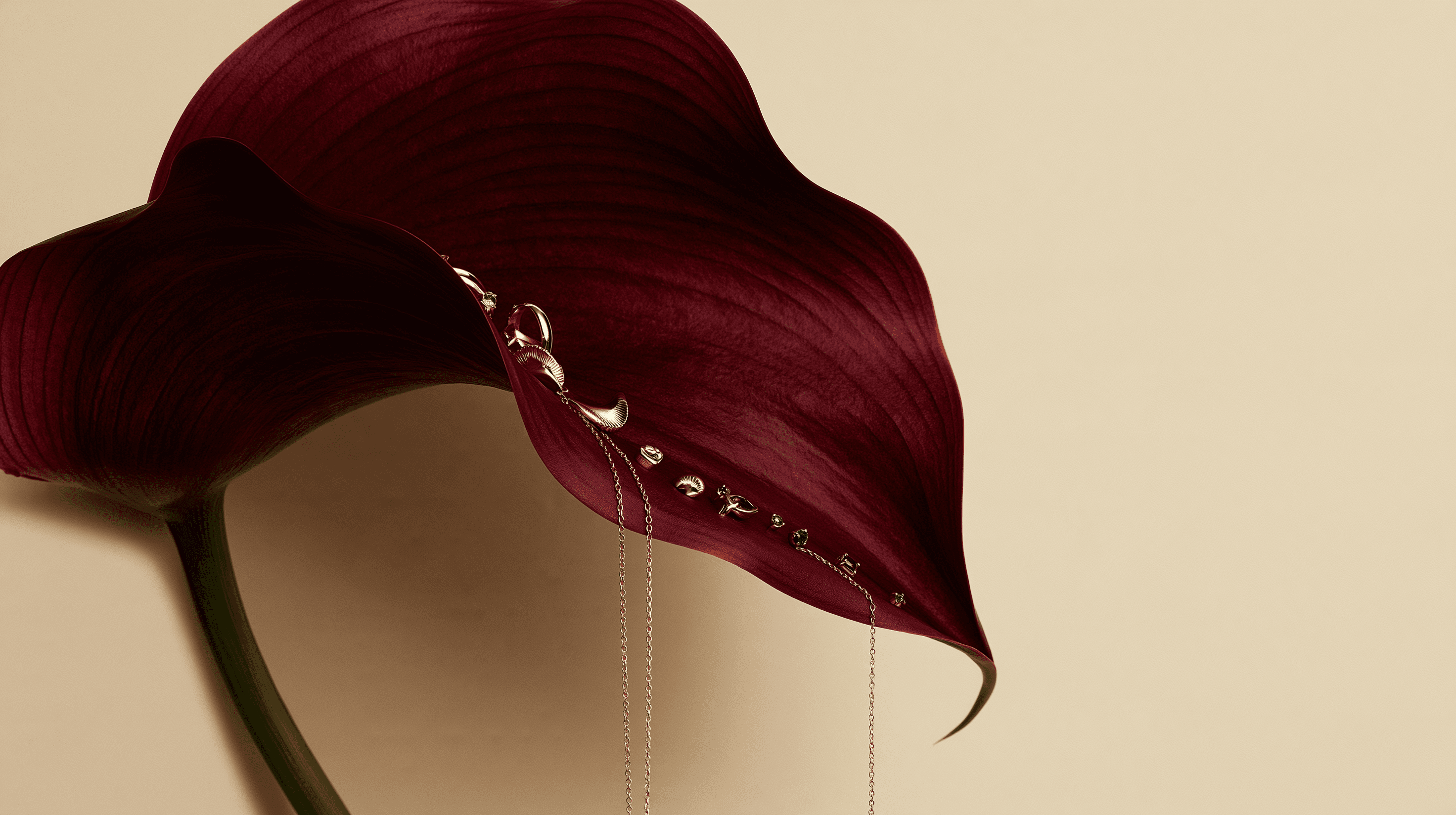 Linnea & Co. jewelry resting on a dark calla lily petal