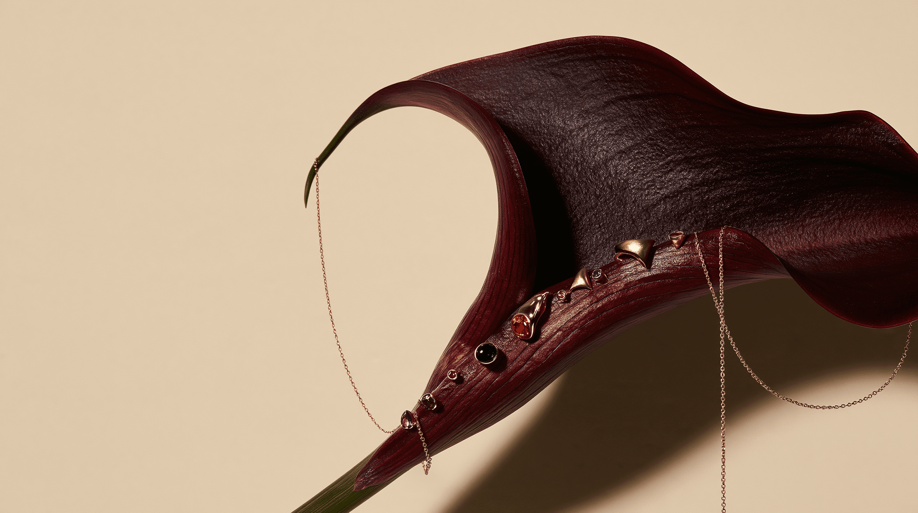 Linnea & Co. jewelry draped across a dark calla lily